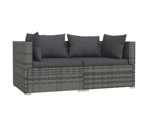 Divvietīgs Dārza Dīvāns Ar Matračiem, Pelēka Pe Rotangpalma Vidaxl