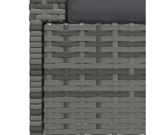 Divvietīgs Dārza Dīvāns Ar Matračiem, Pelēka Pe Rotangpalma Vidaxl