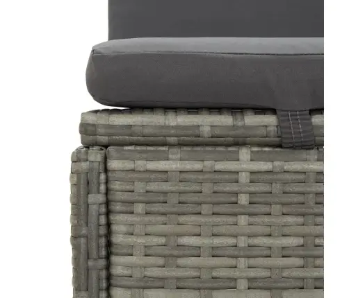 Keičiamas Saulės Gultas Su Pagalvėlėmis, Pilkas, Poliratanas