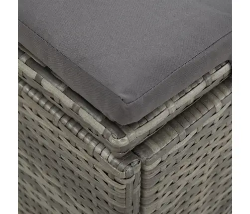 Keičiamas Saulės Gultas Su Pagalvėlėmis, Pilkas, Poliratanas