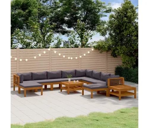 12-Osaline Aiadiivanikomplekt Patjadega, Akaatsiapuit