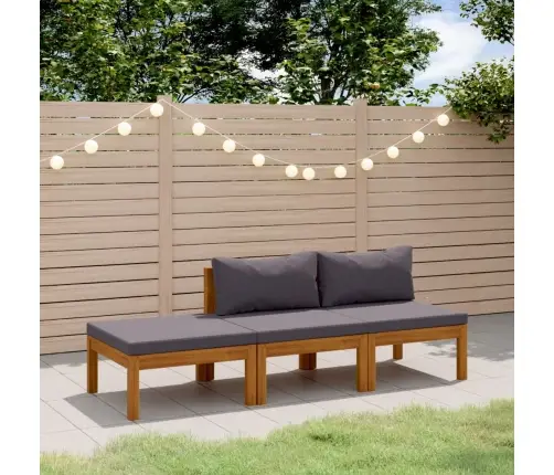 3-Osaline Aiadiivanikomplekt Patjadega, Akaatsiapuit