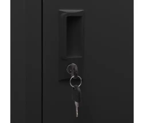 Lukustatav Hoiukapp, Must, 38 X 45 X 180 cm Teras