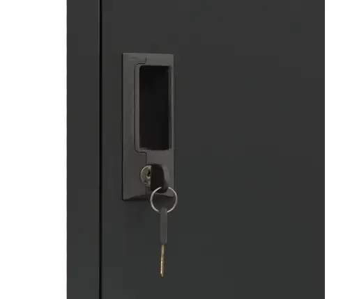 Lukustatav Hoiukapp, Antratsiithall, 38 X 45 X 180 cm Teras