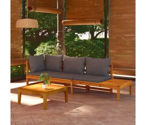 3-Daļīgs Dārza Atpūtas Mēbeļu Komplekts Ar Spilveniem, Akācija Vidaxl