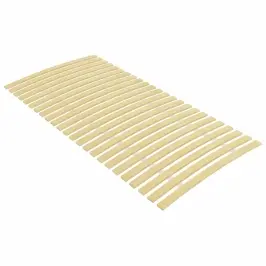 Gultas Līstu Nomaiņas Komplekts Ar 24 Līstēm, 100X200 Cm Vidaxl