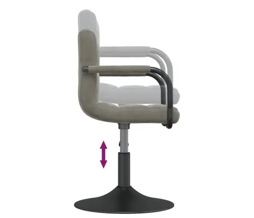 Grozāmi Virtuves Krēsli, 4 Gab., Gaiši Pelēks Samts Vidaxl