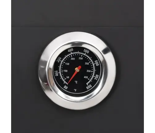 Dārza Picas Krāsns, Kurināma Ar Kokoglēm, 2 Šamota Ķieģeļi Vidaxl