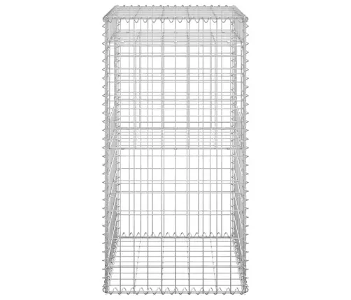 Gabioonkorvid 2 Tk, 50 X 50 X 100 cm Raud