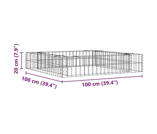 Gabions, Augstā Puķu Kaste, Cinkots Tērauds, 100X100X20 Cm Vidaxl