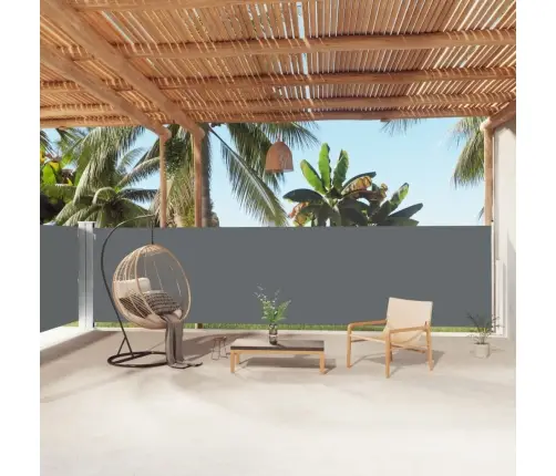 Ištraukiama Šoninė Pertvara, Antracito Spalvos, 160X1000Cm