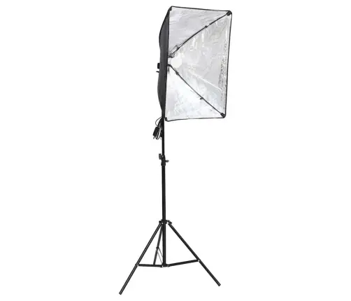 Profesionalus Fotostudijos Šviestuvas, 60X40Cm