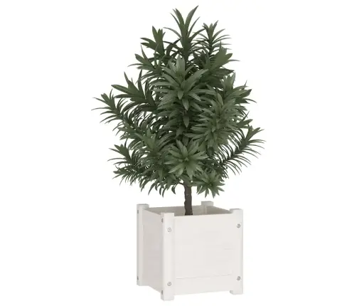 Dārza Puķu Kaste, Balta, 31X31X31 Cm, Priedes Masīvkoks Vidaxl