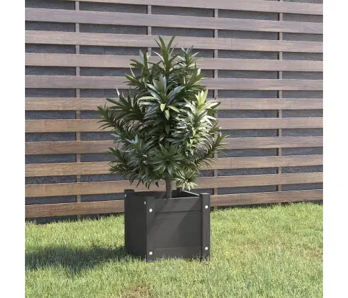 Sodo Lovelis, Pilkas, 31X31X31cm Pušies Medienos Masyvas