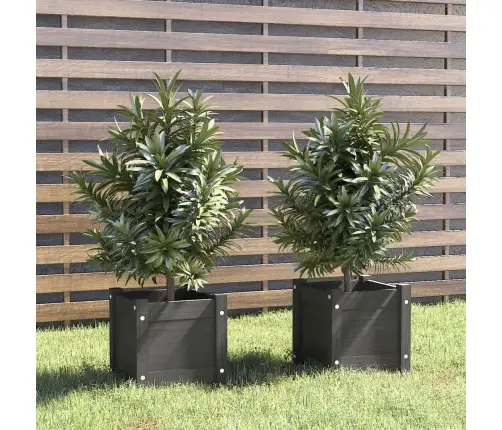 Dārza Puķu Kastes, 2 Gab., Pelēkas, 31X31X31 Cm, Priedes Koks Vidaxl