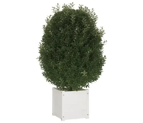 Dārza Puķu Kastes, 2 Gab., 40X40X40Cm, Balts Priedes Masīvkoks Vidaxl