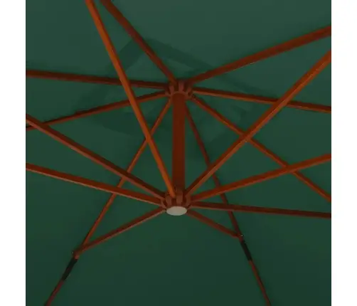 Gembinis Sodo Skėtis Su Mediniu Stulpu, Žalias, 400X300Cm