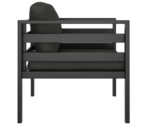 Vienvietės Sofos Su Pagalvėlėmis, 2Vnt., Antracito, Aliuminis