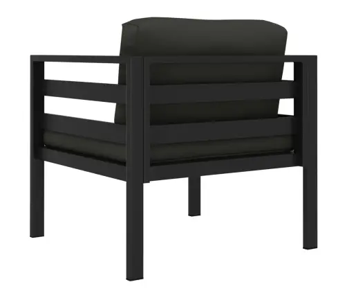 Vienvietės Sofos Su Pagalvėlėmis, 2Vnt., Antracito, Aliuminis