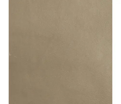 Atsistojantis Krėslas, Kapučino Spalvos, Dirbtinė Oda