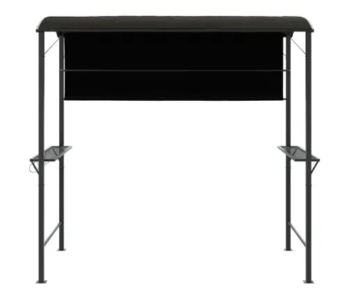 Nojume Ar Jumtu, 220X110X200 Cm, Antracītpelēka Vidaxl