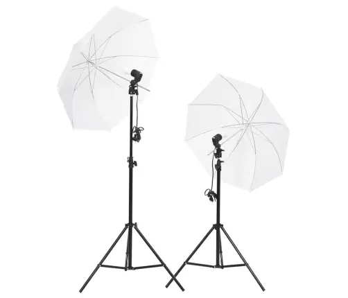 Fotostuudio Komplekt Valgustuse Ja Taustapildiga