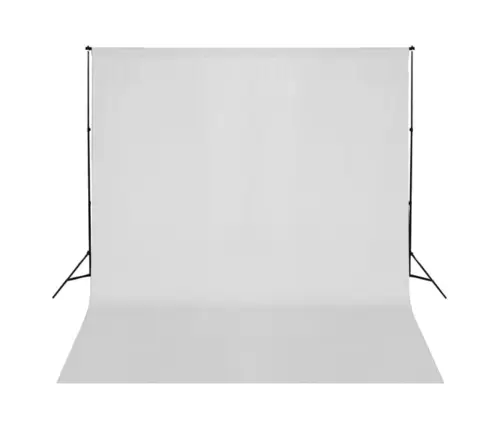 Fotostuudiokomplekt Valgustuse, Taustapildi Ja Reflektoriga