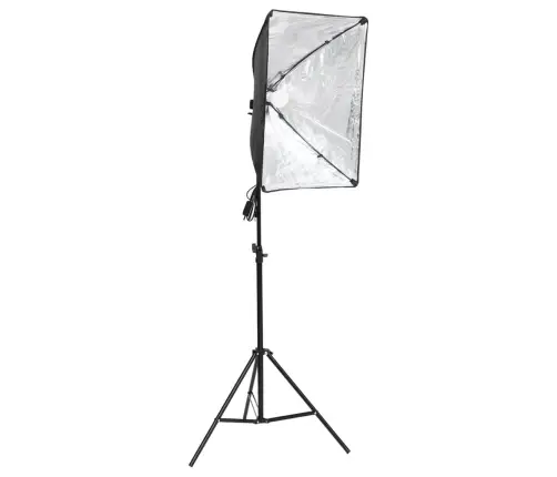 Fotostudijas Komplekts - Gaismas Izkliedētājs Un Fons Vidaxl