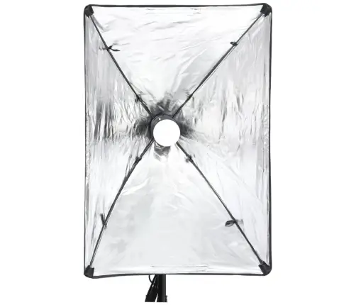 Fotostudijas Komplekts - Gaismas Izkliedētājs Un Fons Vidaxl