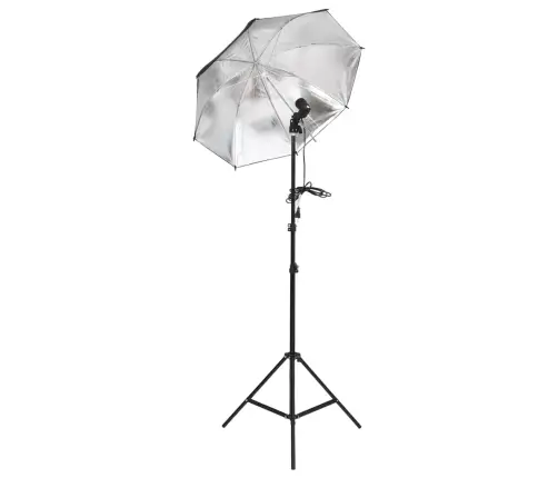 Fotostuudio Komplekt Valgustuse Ja Taustapildiga