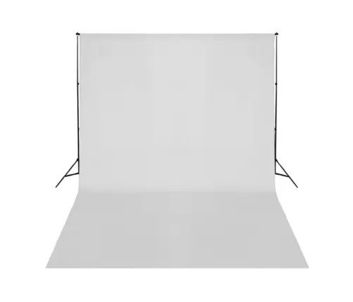 Fotostuudio Komplekt Valgustuse, Taustapildi Ja Reflektoriga