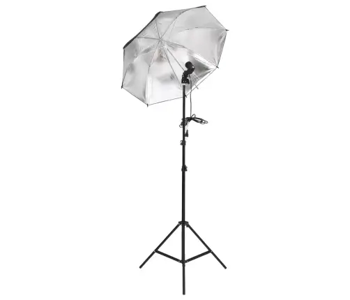 Fotostudijos Rinkinys Su Apšvietimo Rinkiniu Ir Fonu