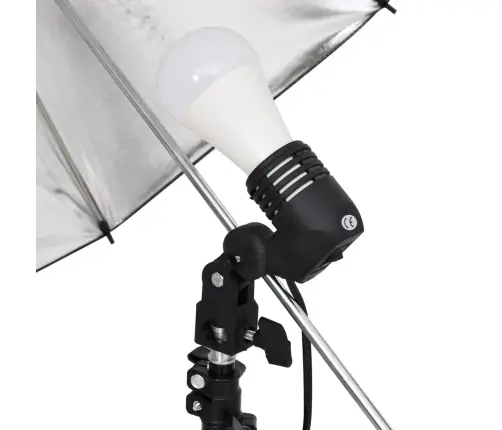 Fotostudijos Rinkinys Su Apšvietimo Rinkiniu Ir Fonu