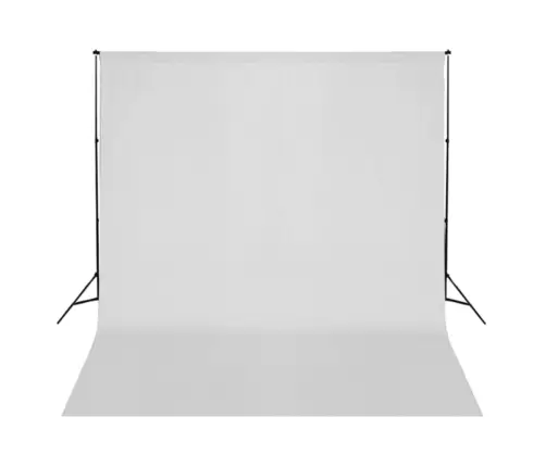 Fotostuudio Komplekt Valgustuse Ja Taustapildiga