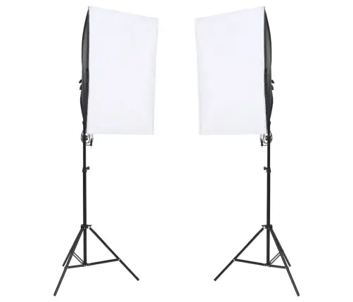 Fotostuudio Komplekt Valgustuse Ja Taustapildiga
