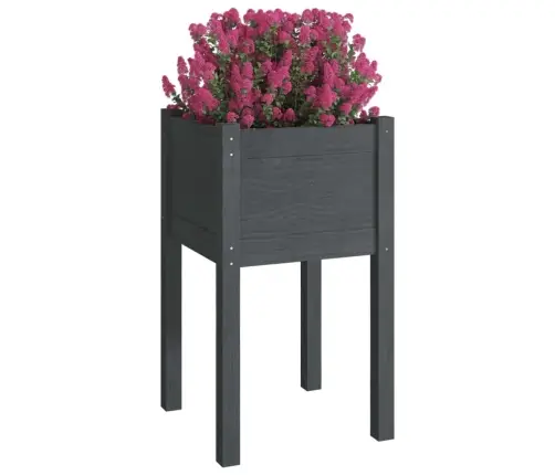 Sodo Loveliai, 2Vnt., Pilki, 40X40X70cm Pušies Masyvas