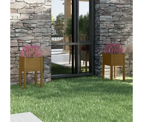 Dārza Puķu Kastes, 2 Gab., Brūnas, 40X40X70 Cm, Priedes Koks Vidaxl