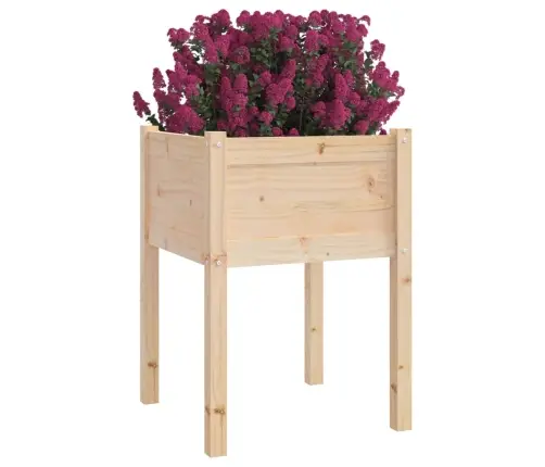 Sodo Loveliai, 2Vnt., 50X50X70cm Pušies Medienos Masyvas