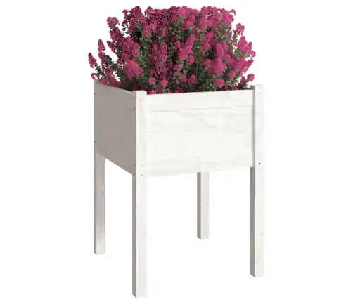 Dārza Puķu Kastes, 2 Gab., 50X50X70 Cm, Balts Priedes Masīvkoks Vidaxl