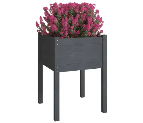 Dārza Puķu Kaste, 50X50X70 Cm, Pelēks Priedes Masīvkoks Vidaxl