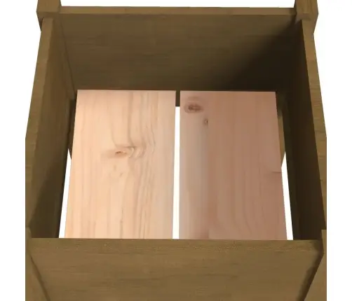 Sodo Loveliai, 2Vnt., Medaus Rudi, 50X50X70cm Pušies Masyvas