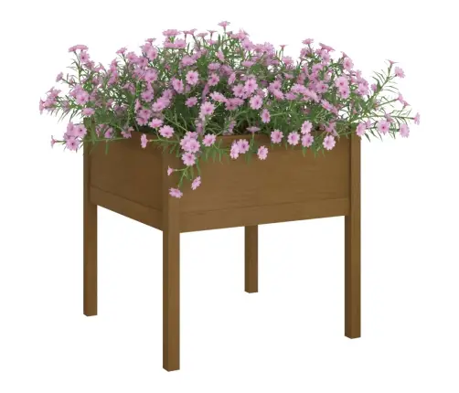 Dārza Puķu Kaste, 70X70X70 Cm, Brūns Priedes Masīvkoks Vidaxl