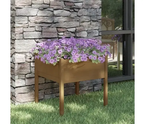 Dārza Puķu Kaste, 70X70X70 Cm, Brūns Priedes Masīvkoks Vidaxl