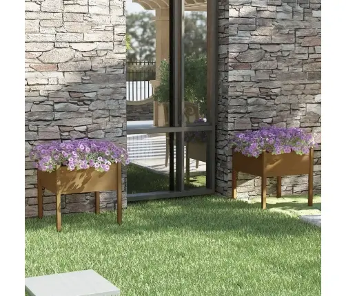 Aia Taimekast, 2 Tk, Meepruun 70X70X70 cm Toekas Männipuit