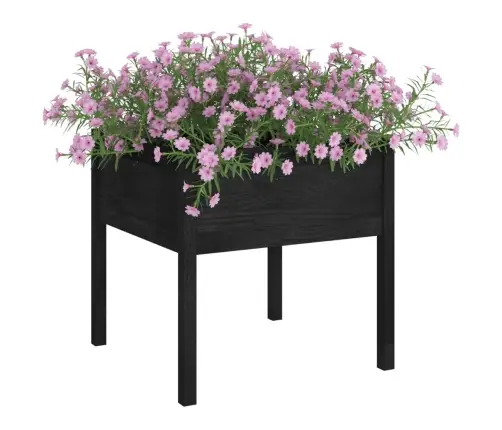 Dārza Puķu Kaste, 70X70X70 Cm, Melns Priedes Masīvkoks Vidaxl