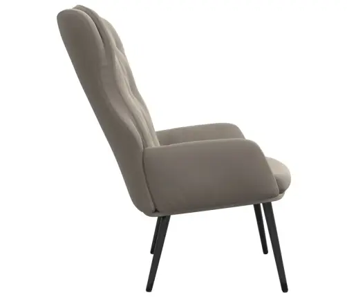 Atpūtas Krēsls, Gaiši Pelēks Samts Vidaxl