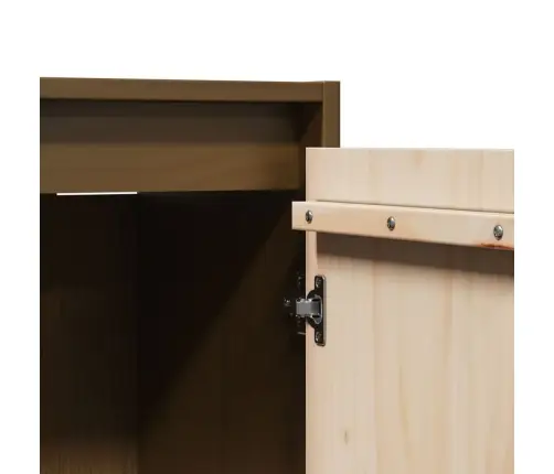 Sienas Skapītis, Medus Brūns, 30X30X100 Cm, Priedes Masīvkoks Vidaxl