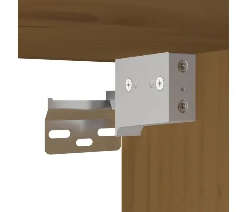 Sienas Skapīši, 2 Gab., Brūni, 30X30X100 Cm, Priedes Masīvkoks Vidaxl