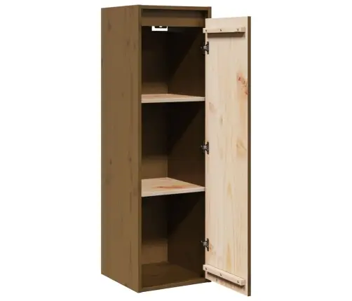 Sienas Skapīši, 2 Gab., Brūni, 30X30X100 Cm, Priedes Masīvkoks Vidaxl