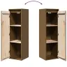 Sienas Skapīši, 2 Gab., Brūni, 30X30X100 Cm, Priedes Masīvkoks Vidaxl